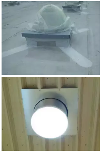 寵物食品商店需要什么樣的光源？