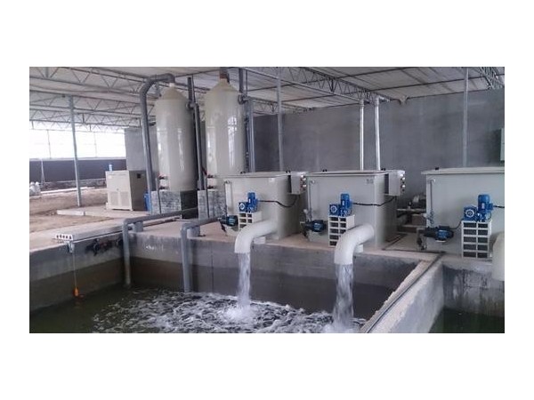 循環(huán)水除垢器，選沃肯電子除垢儀