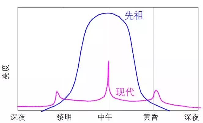 導(dǎo)光管原來還能調(diào)節(jié)生物鐘